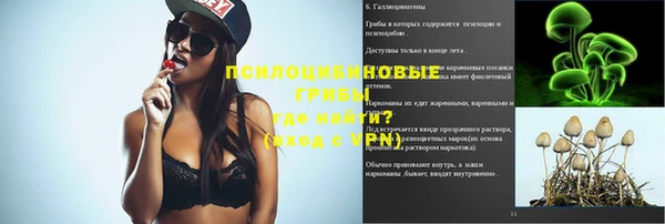 крисы Елизово