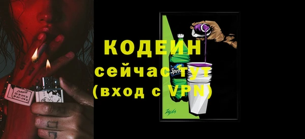 крисы Елизово