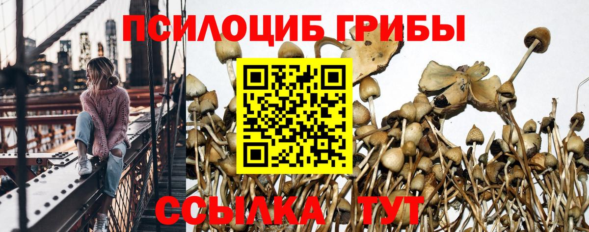 Псилоцибиновые грибы MAGIC MUSHROOMS  купить закладку  Вход с VPN  Пермь  Галлюциногенные грибы мицелий 