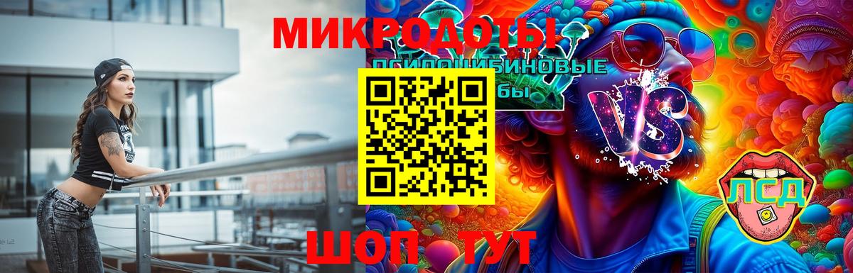 Псилоцибиновые грибы Psilocybe Пермь